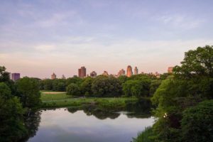 The Most Beautiful Places in Central Park New York City - A Glass Half Full