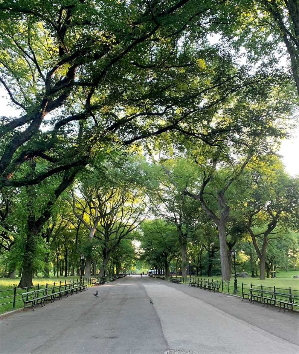 The Mall Central Park New York City 