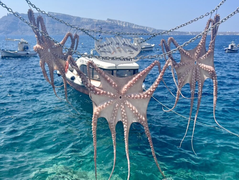 Octopi Hanging to Dry in Amoudi Bay, Santorini Greece 